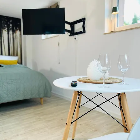 Apartment Zentrale Schwarzwald Nagold