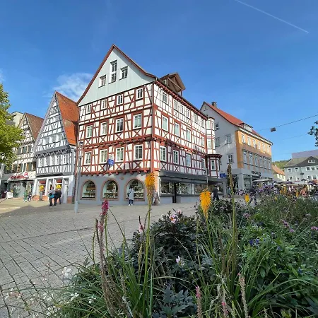 アパート Zentrale Schwarzwald *