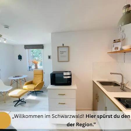 Zentrale Schwarzwald ナーゴルト