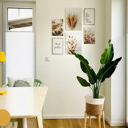 Zentrale Schwarzwald ナーゴルト